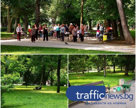 След водния апокалипсис Пловдив се събуди по-пасторален отвсякога