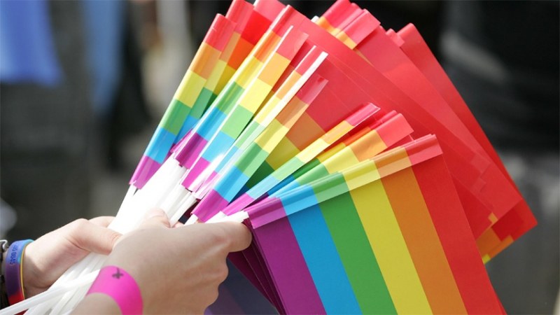 ВМРО за гей парада: Сексуално разкрепостени ще пропагандират отклонения!