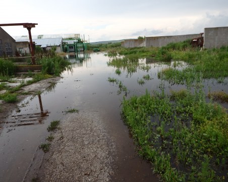 Река Студена преля, стотици декари земеделска земя в Русенско - под вода