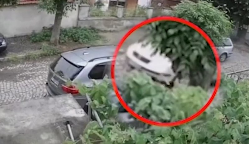 Жестокост! Мъж от Ямбол прегази с колата си кучето на съседите