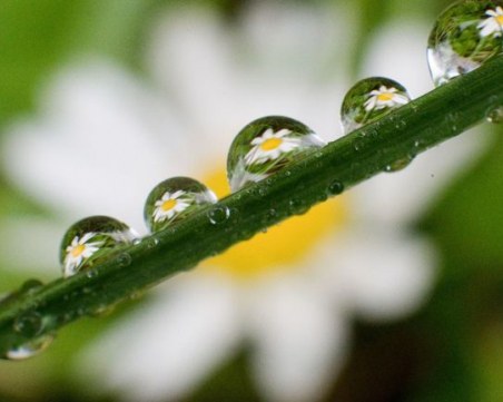 Обичайното време и в четвъртък: Топъл предиобед, после вали и трещи