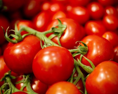 Производители от Петричко протестират, искат мита за гръцкия домат