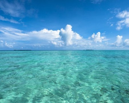 Днес е Световният ден на океана