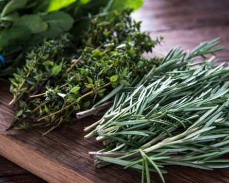 Забравете за препаратите срещу комари! Природата също е измислила как да ги изгоним