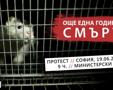 Още една година смърт! Протест срещу фермите за ценни кожи у нас