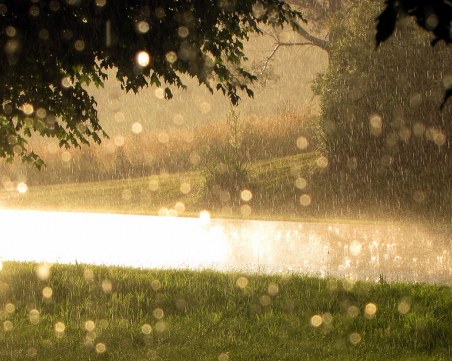 Новата седмица тръгва с валежи. На места днес ще паднат до 50 л/кв.м