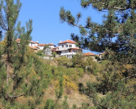 Планински спасители намериха изгубила се туристка в Родопите