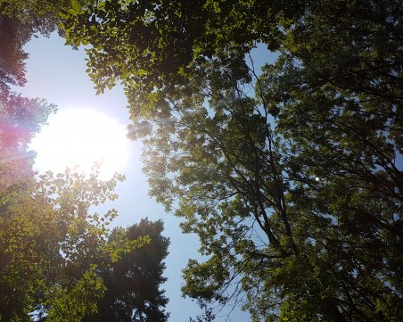 Валежите отстъпват, слънцето застъпва. До петък температурите до 35°C