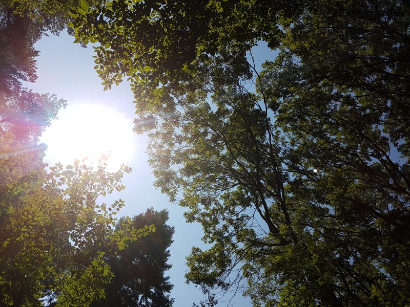 Валежите отстъпват, слънцето застъпва. До петък температурите до 35°C