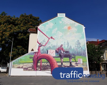 Айлякът заживя върху стена в центъра на Пловдив