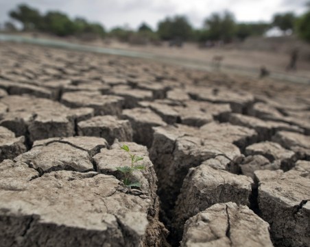 Доказателства за идващия Апокалипсис? Села в Индия – обезлюдени от сушата