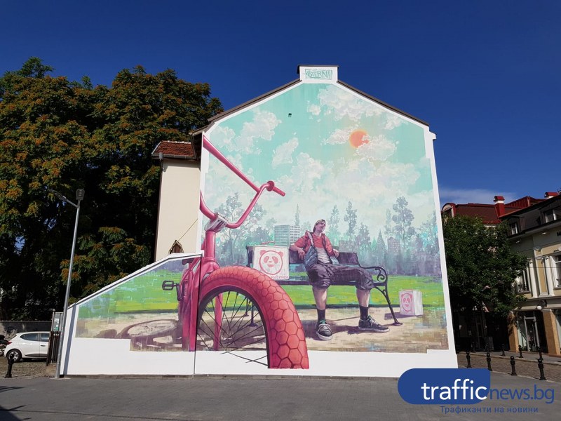 Айлякът заживя върху стена в центъра на Пловдив