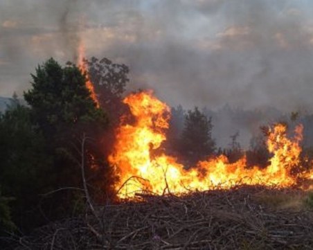 Пожар горя на Халкидики