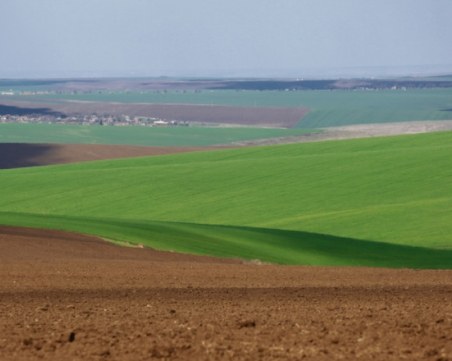 Нивите до Балчик, Каварна и Шабла най-скъпи, гонят 2600 лева за декар