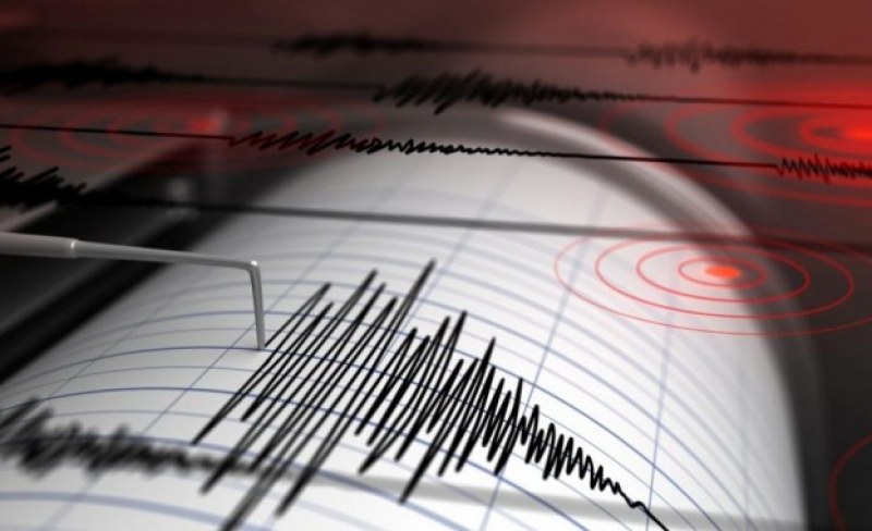 Земетресение 7,4 по Рихтер тресна архипелага Кермадек