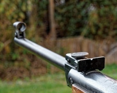 Мъж простреля с пушка бездомно куче в Стара Загора