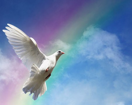 Украсете дома с орехова шума за здраве. Свети Дух държи злото надалеч!