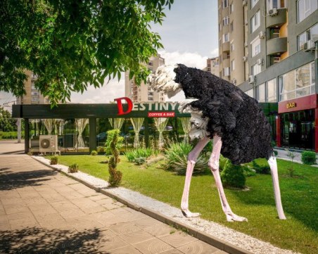 Хазартен бос не зачита решение на съда, община Пловдив - в ролята на щраус