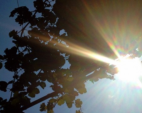 Слънчева сряда и до 34 градуса. Възможни са следобедни валежи