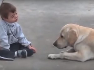 Лабрадор се сприятели с детенце със синдром на Даун