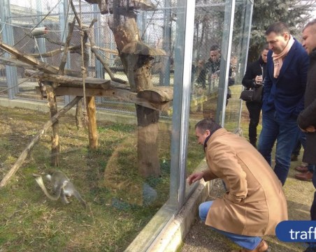 Защо четири месеца след 