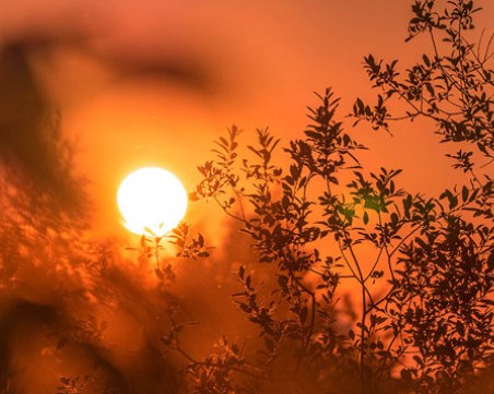 Лятото идва днес! Слънчев и горещ уикенд се задава – над 35°C