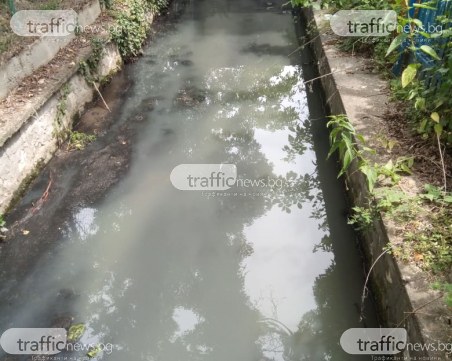 След предписанието на РИОСВ: Отровата продължава да тече по Стара река, водите й побеляха