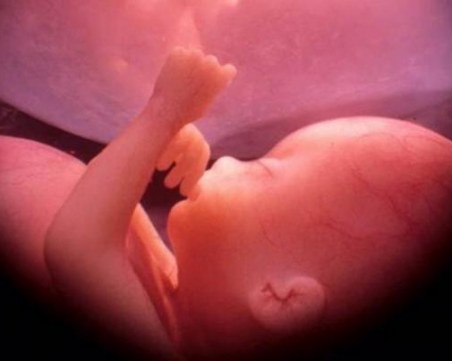 Само за три месеца – 3600 желани аборта!? Първенците: София и Пловдив