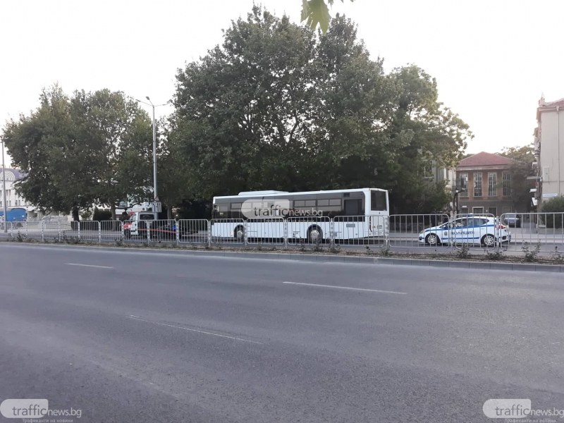 Голям клон се стовари върху автобус, пълен с пътници, в центъра на Пловдив