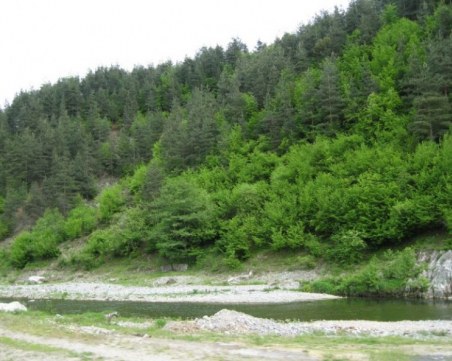 Ден на траур! Скръб и сълзи в Момчилград, приятели на удавените момичета още са в шок