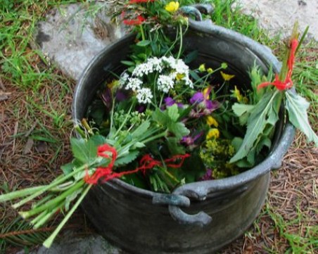 Еньовден: 77 росни билки наберете, венец сплетете! Бъдете здрави!