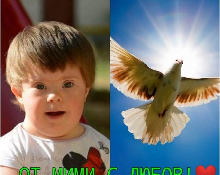 Не изпращайте в понеделник Мими с играчки! Тя вече играе с ангелите и птиците