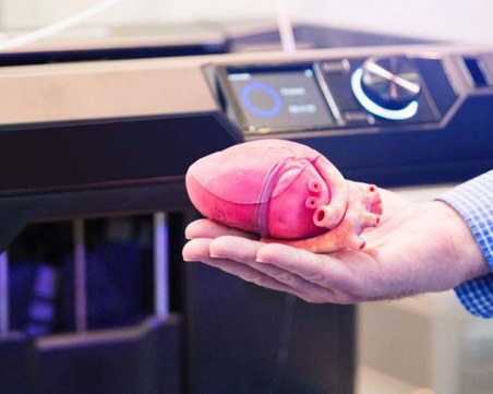 250 млн. клетки от опашка на плъх могат да направят човешко ухо за 15 минути