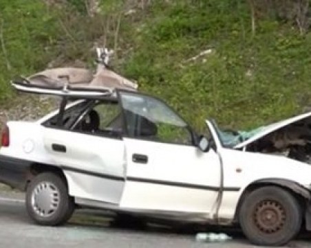 Баба и дядо с внучетата са катастрофиралите в зверската катастрофа край Монтана