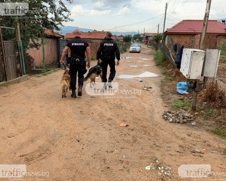 От 44-ма задържани – едва четирима в ареста след мелето в Розино