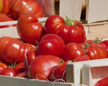 В Гърция български домати на пазара няма! Вносът у нас кръжи около 90%