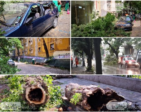 След бурята в Пловдив: Продължават да валят сигнали в пожарната, редица коли пострадаха от дървета