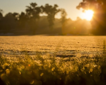 Времето идните дни: Горещи предиобеди, дъждовни следобеди