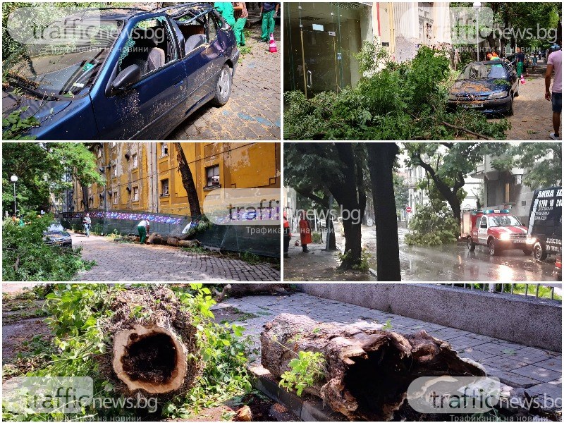 След бурята в Пловдив: Продължават да валят сигнали в пожарната, редица коли пострадаха от дървета