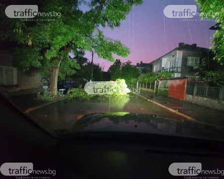 Неочаквано: Мълния падна до човек