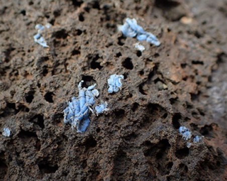 Нов вид замърсяване? Пластмасата се вгражда в скалите!