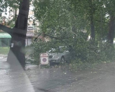 Силна буря удари Кърджали! Дървета паднаха върху две коли