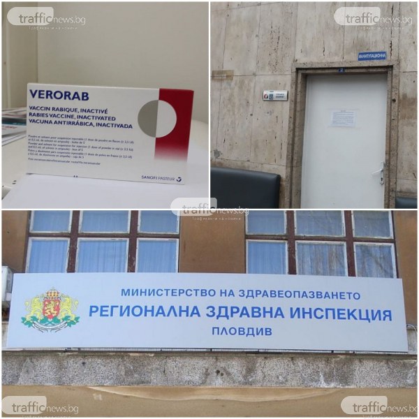 Имунизират ветеринарите в Пловдив срещу бяс... имало много излишни ваксини