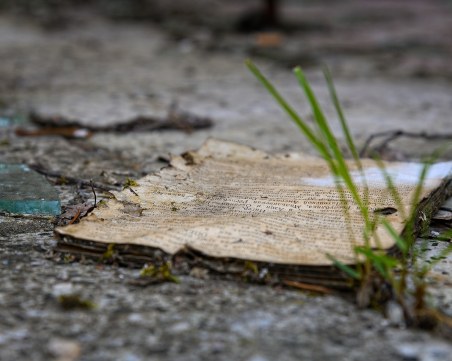 Можете да възстановите спомените си с един много прост метод