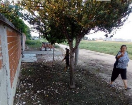 Анка от Раковски, която уби кучето си: Хрумна ми да го обеся, то си е мое