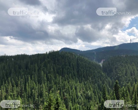 Безплатни лифтове в Пампорово днес! Ето възможностите за туризъм в курорта