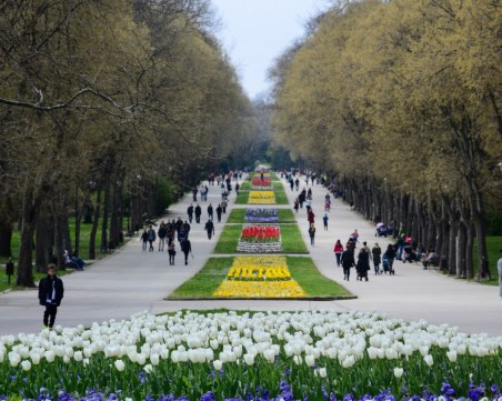 След смъртта на дете: Край на автомобилите в Морската градина