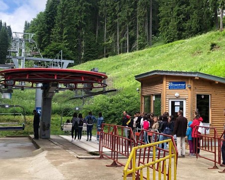 Бум на ужилени от пчели в Родопите