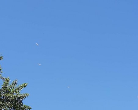 Изненада: Гларуси полетяха над Родопите