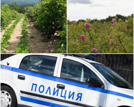 Розопроизводител в Карловско нападна и преби пловдивчанка, едва не я заколи с острие на коса